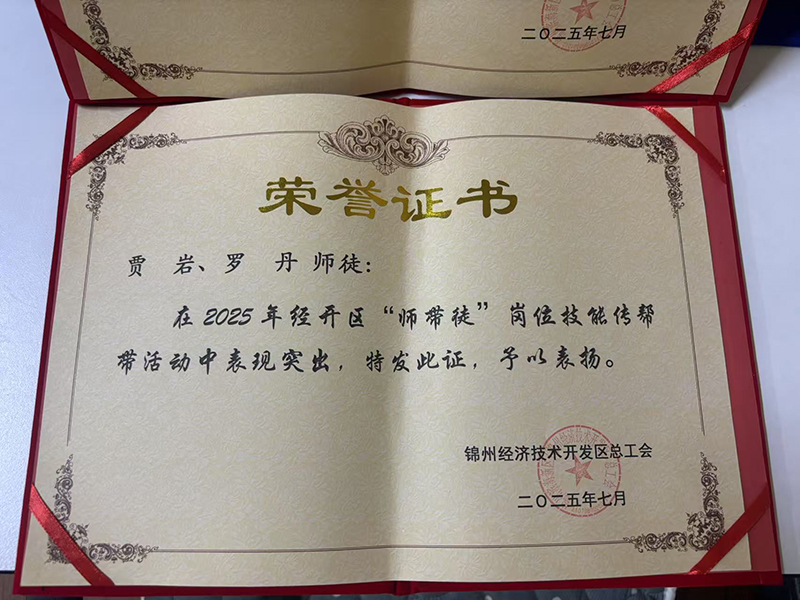 贾岩、罗丹师徒荣获经开区“师带徒”岗位技能传帮带活动表彰